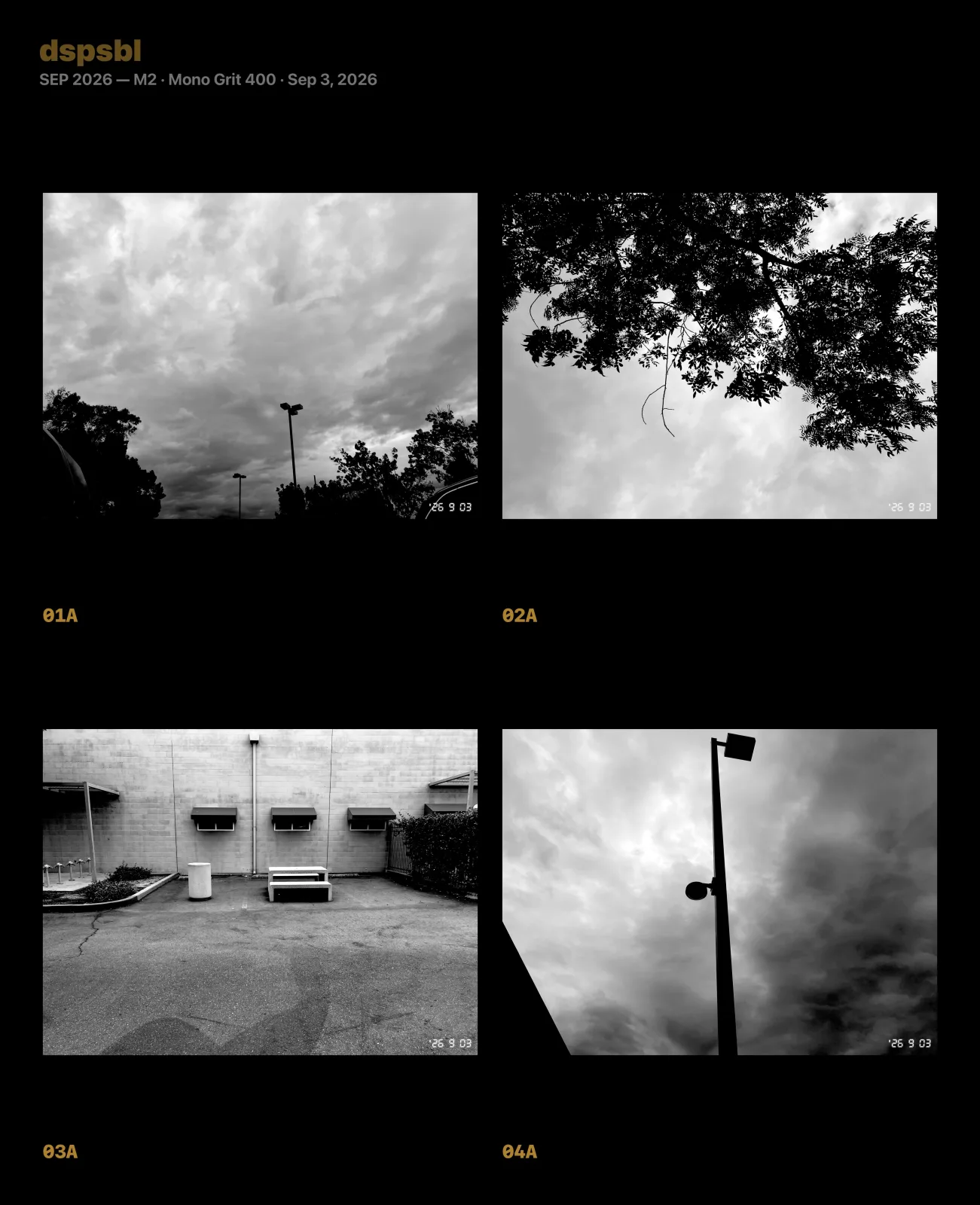 Black-and-white contact sheet of cloudy skies, trees, an empty courtyard, and a streetlight